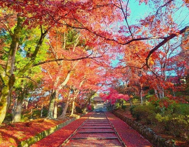 【2022年】京都　山科・毘沙門堂の紅葉