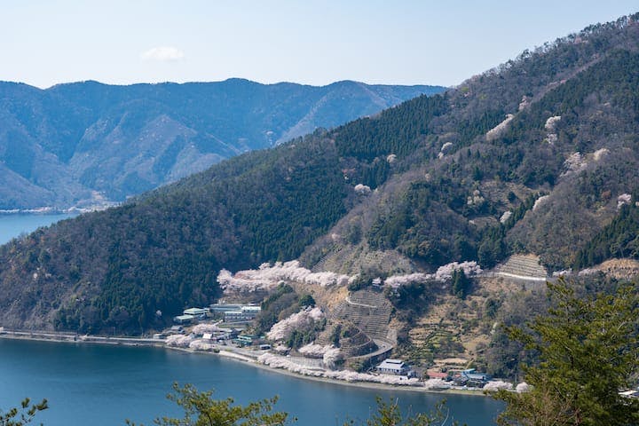 奥琵琶湖パークウェイ