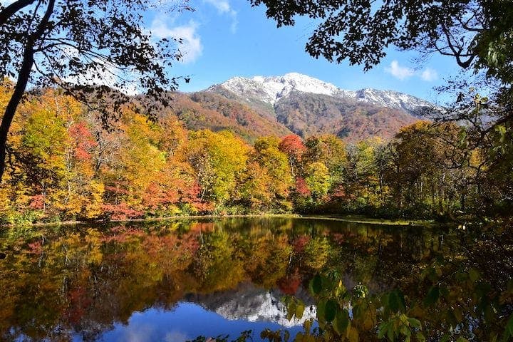 【2022年】刈込池の紅葉