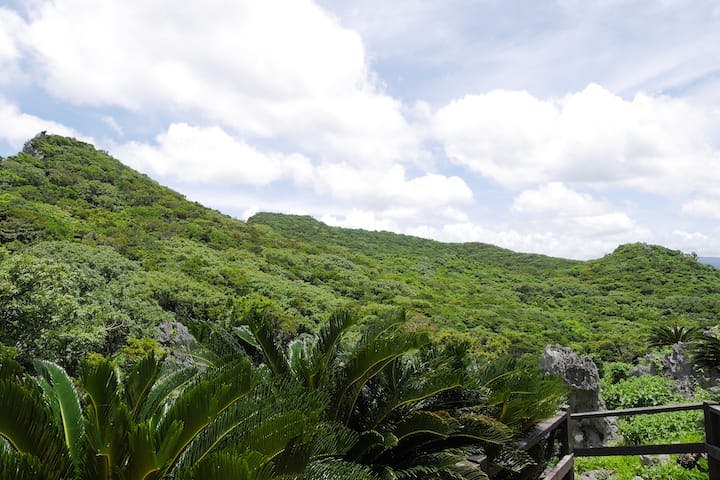 やんばる国立公園