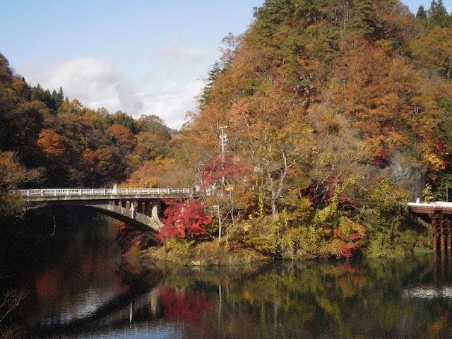 【2022年】久米路峡の紅葉