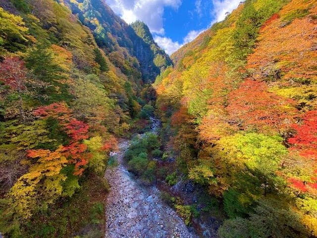 【2022年】高瀬渓谷の紅葉