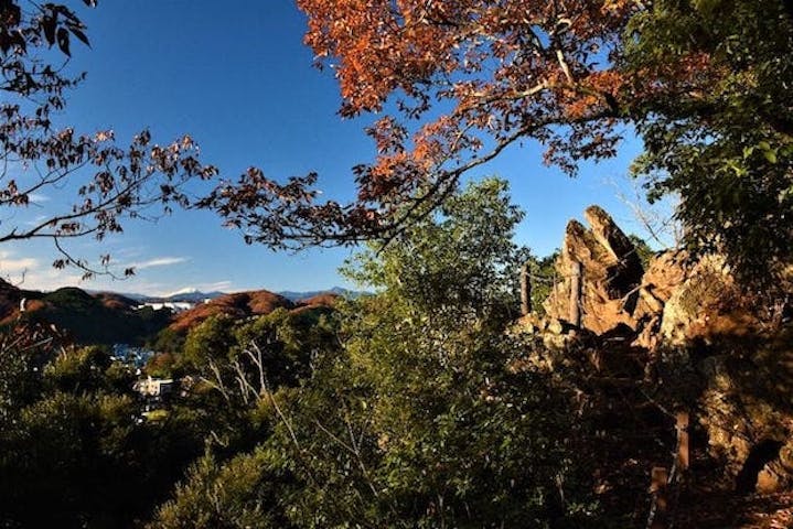 【2022年】天覧山の紅葉