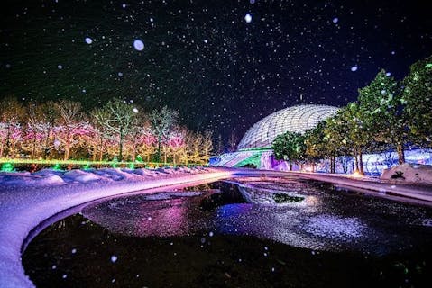 鳥取の遊園地 テーマパーク 公園 一覧 遊び予約 レジャークーポン アソビュー