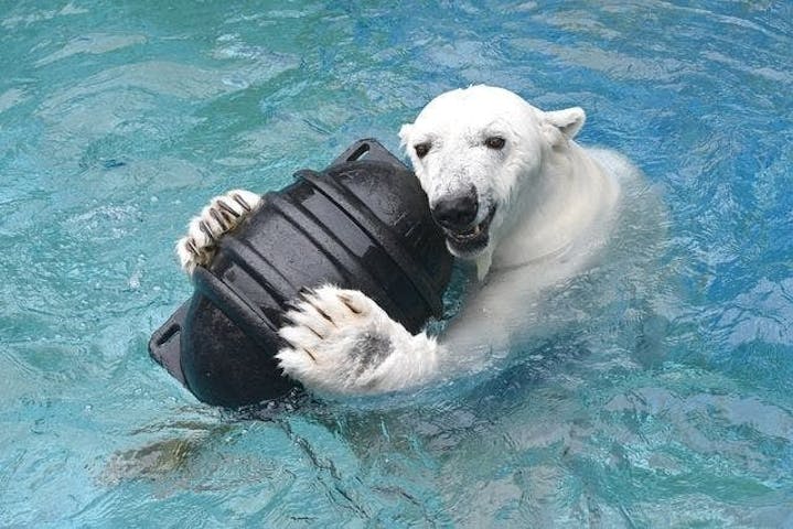 愛媛県立とべ動物園