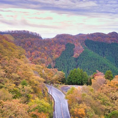 高野龍神スカイライン アソビュー 高野龍神スカイライン アソビュー