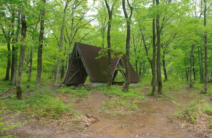 どんぐりの森【県民の森】