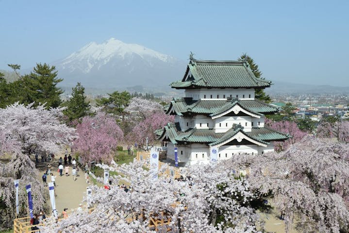弘前公園（弘前城）の桜・お花見