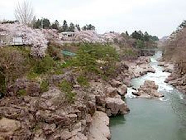 厳美渓の桜・お花見