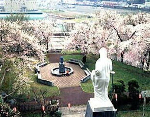 薬師公園の桜・お花見