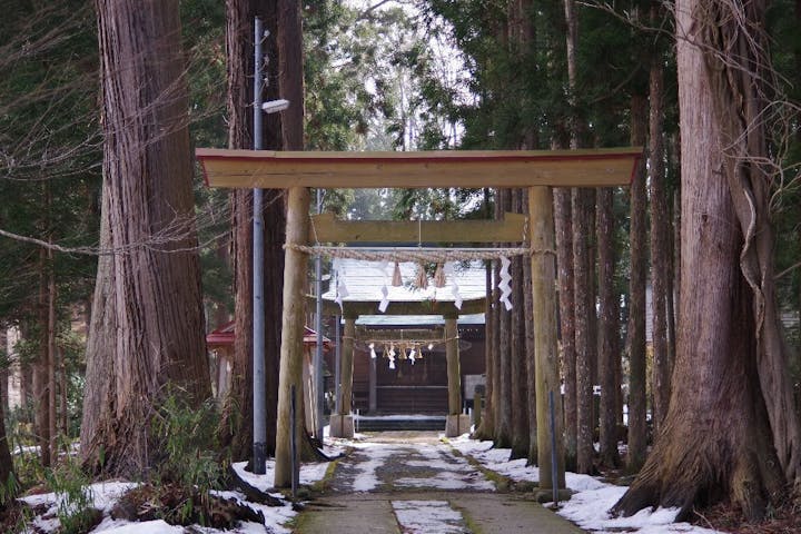 扇田神明社の初詣 アソビュー