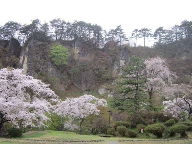 きみまち阪県立自然公園の桜・お花見