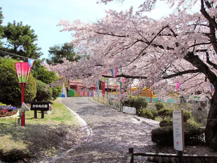 日立市池の川さくらアリーナ アソビュー
