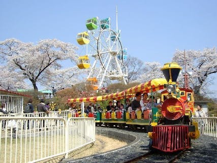佐野 小山 足利 鹿沼 お花見の遊び体験 アソビュー 休日の便利でお得な遊び予約サイト