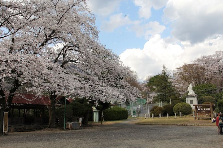 桐生が岡公園の桜・お花見