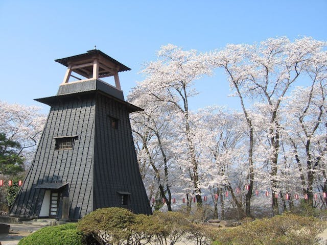 沼田公園（沼田城址）の桜・お花見