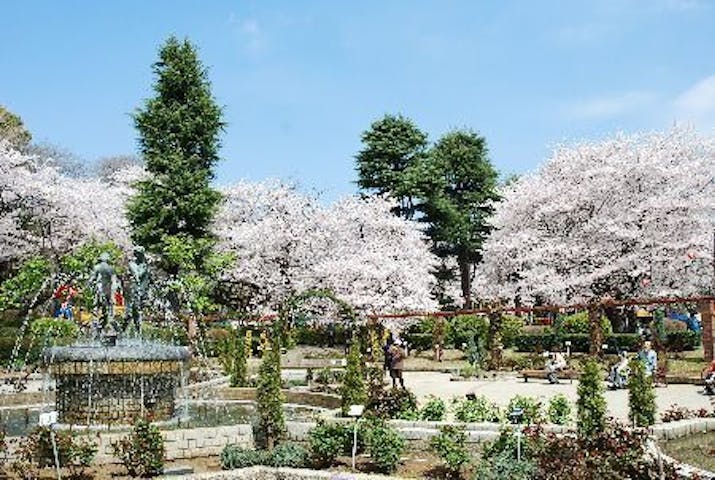 里見公園の桜・お花見
