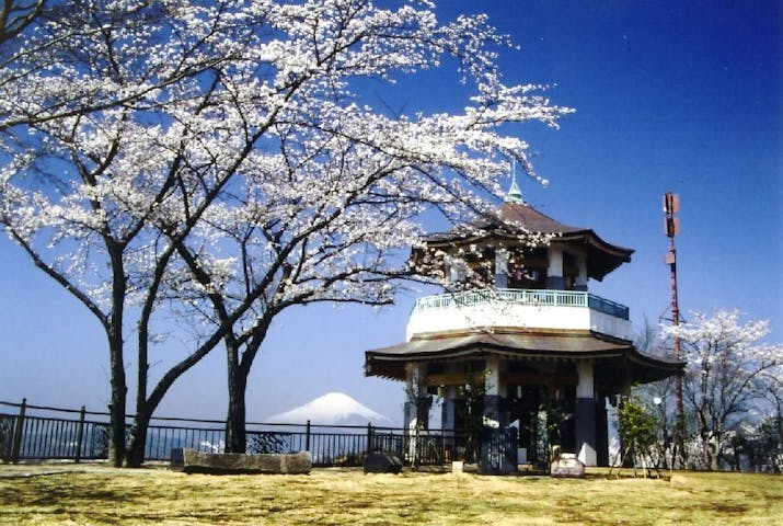 弘法山公園の桜・お花見