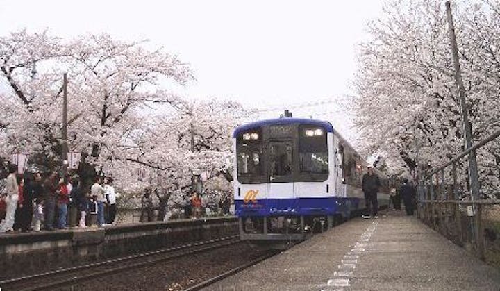能登鹿島駅｢能登さくら駅｣の桜・お花見