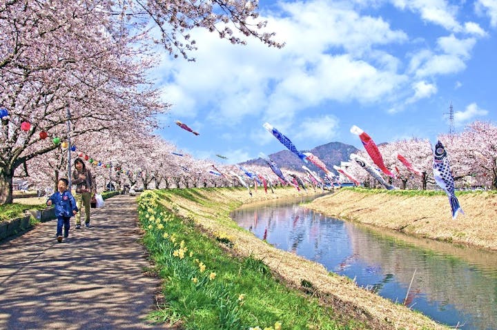 きらめきロード中河の桜・お花見