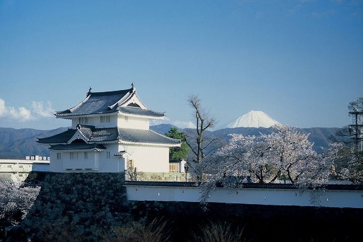 舞鶴城公園（甲府城跡）の桜・お花見