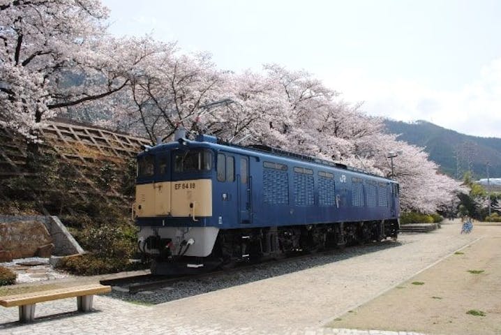 JR勝沼ぶどう郷駅　甚六桜の桜・お花見
