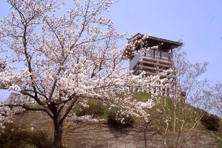 戸倉上山田温泉城山史跡公園　荒砥城の桜・お花見