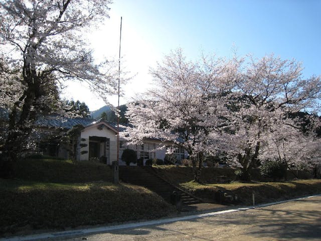 神川の桜・お花見