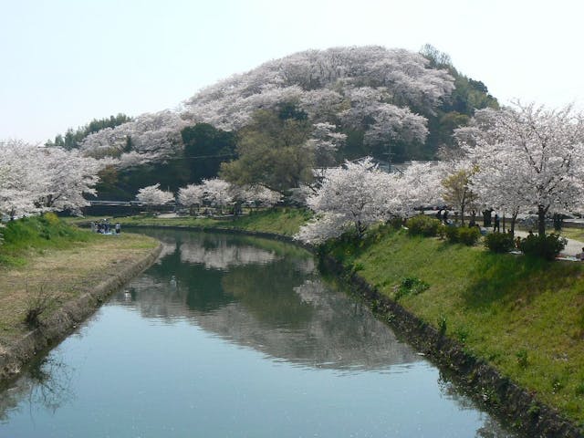 三室山（県立竜田公園）の桜・お花見