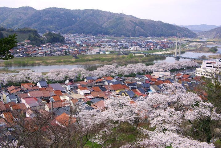 木次公園の桜・お花見