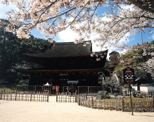 功山寺の桜・お花見