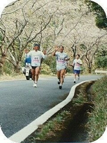 桜街道（県道由岐大西線）の桜・お花見