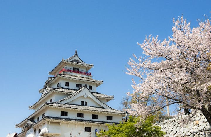 唐津城の桜・お花見