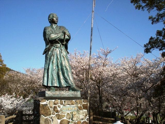 風頭公園の桜・お花見