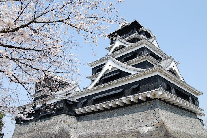 熊本城の桜・お花見