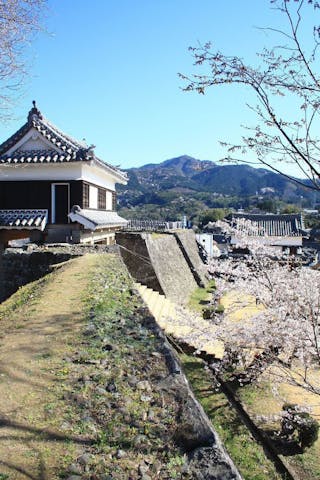 臼杵公園（臼杵城跡）の桜・お花見