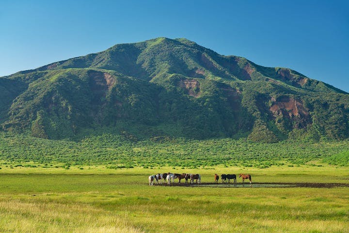 阿蘇山
